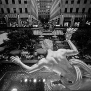 Ny_28_card