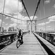 Ny_29_card