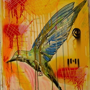 Humming_bird_card
