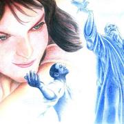 Imagen2_card