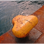 Dsc_0036_card