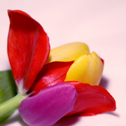 0b714a09523b80f4f7ba7be4f8ab67ae-1_card