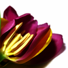 Fd9049bbce61f49ff8f09938f43fbb65-1_thumb