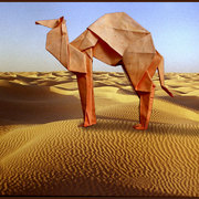Papercamel_card
