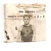 Andrea_card