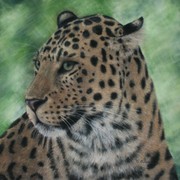 Img_3990_card