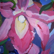 Pink_flower_close_up_card