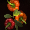 Pepper13printed_copy_thumb