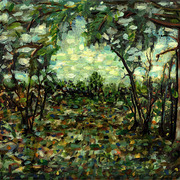 Rainforest_card