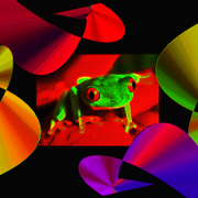 Frog_card