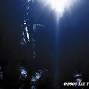 Where_angels_livwe_card