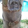 100_0726_thumb