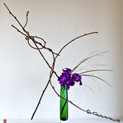 Ikebana-119_card