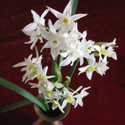 Img_1757_card