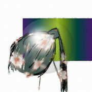 Die_einsame_tulpe_w_jpg_card