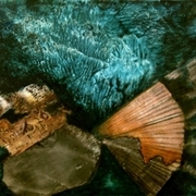 A06-serenidad_card