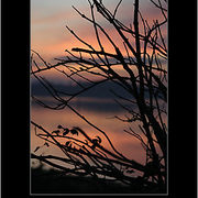 577786-1-trapped-into-the-sunset_card