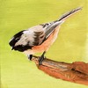 Chickadee__pink_thumb