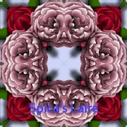 1006_sl_card