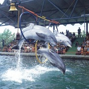 Starii_batumi_04_card