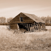 Dsc_00112_card