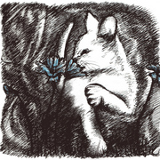 Fragrantworld_card