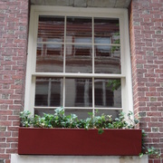 Window_card