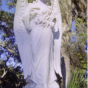 Ga_angel_card