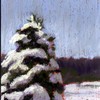 Lone_tree_thumb