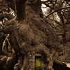 Green_door_small_thumb