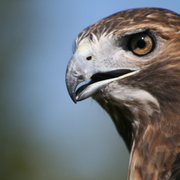 Img_1293_card
