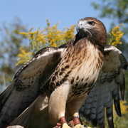 Img_1265_card