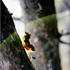 Illuminated_01_thumb