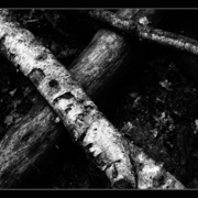 Don_t_break_me_apart_01__card