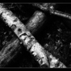 Don_t_break_me_apart_01__thumb