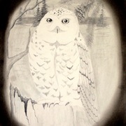 Eds_art_002_card
