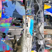 A_f_rdig