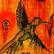 Humming_bird_4_card