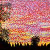 Bromarf_sunset_sq_thumb