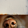 Dans-l_expectative_-1_thumb