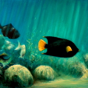 Underwater_card