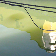 Man_in_water_card