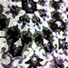 Fresco_flower_square