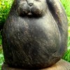 Cat_thumb