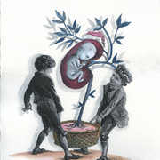 Six_card