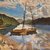 Berwaer_tiny_square