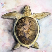 Sea_turtle_painting_small_card