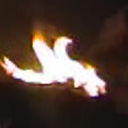F11_your_goose_is_cooked__card