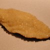Leaf_thumb