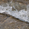 Img_1155_thumb